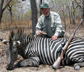 african safari hunting rifle zebra