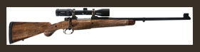 Doctari Custom Rifle 416 Rem.