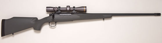 Jaguar In 375 H&H