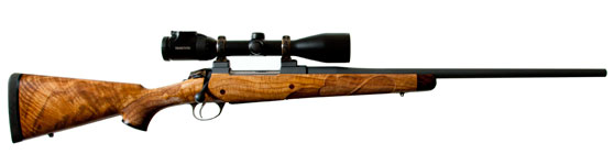 Kilimanjaro Leopard 35 Whelen