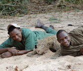 Kilimanjaro custom rifles safari hunting