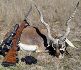 Kilimanjaro Custom Rifles Trophy of Blackbuck