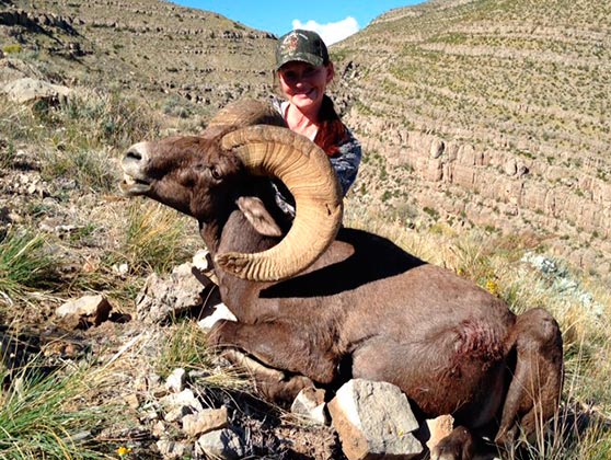 desert big horn taken with Artemis 300 rifle