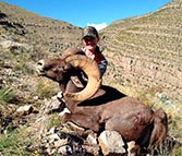 desert big horn taken with artemis 300 win rifle