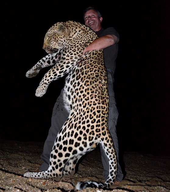 Miles takes leopard with Serengeti 300