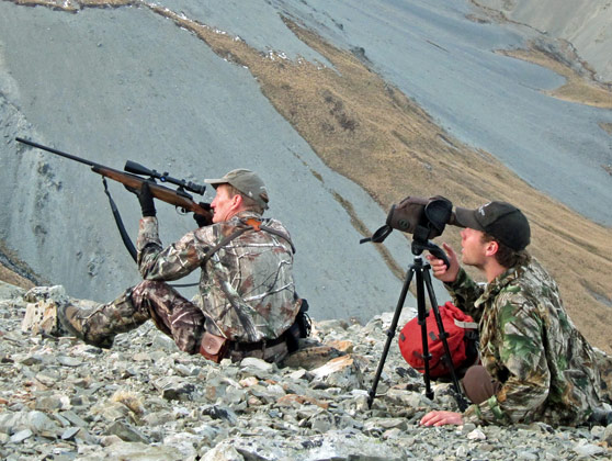 Taking Aim at a New Zealand Bull Tahr