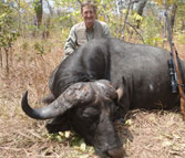 Kilimanjaro custom rifles cape buffalo hunting